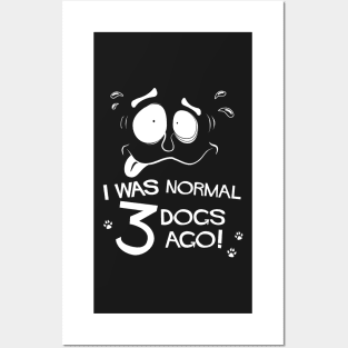 Funny Pet Lovers I Was Normal Three Dogs Ago Posters and Art